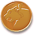 Médaille de Bronze